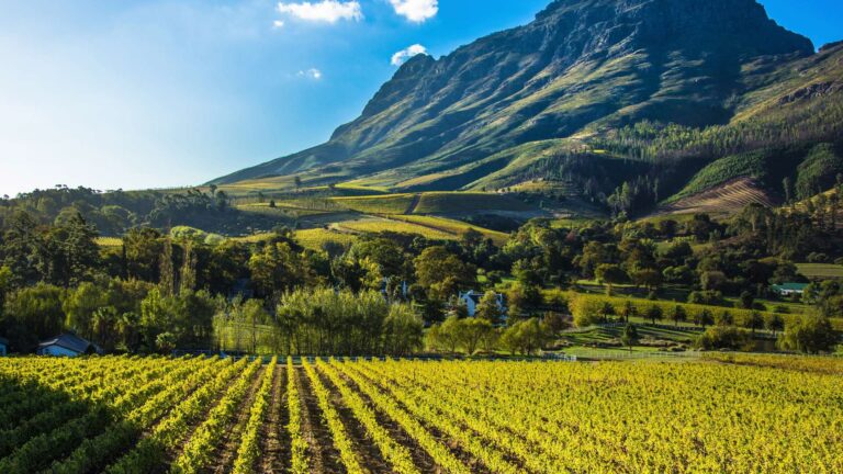 Discover the Wonders of the Garden Route with Group Tours | Bleet