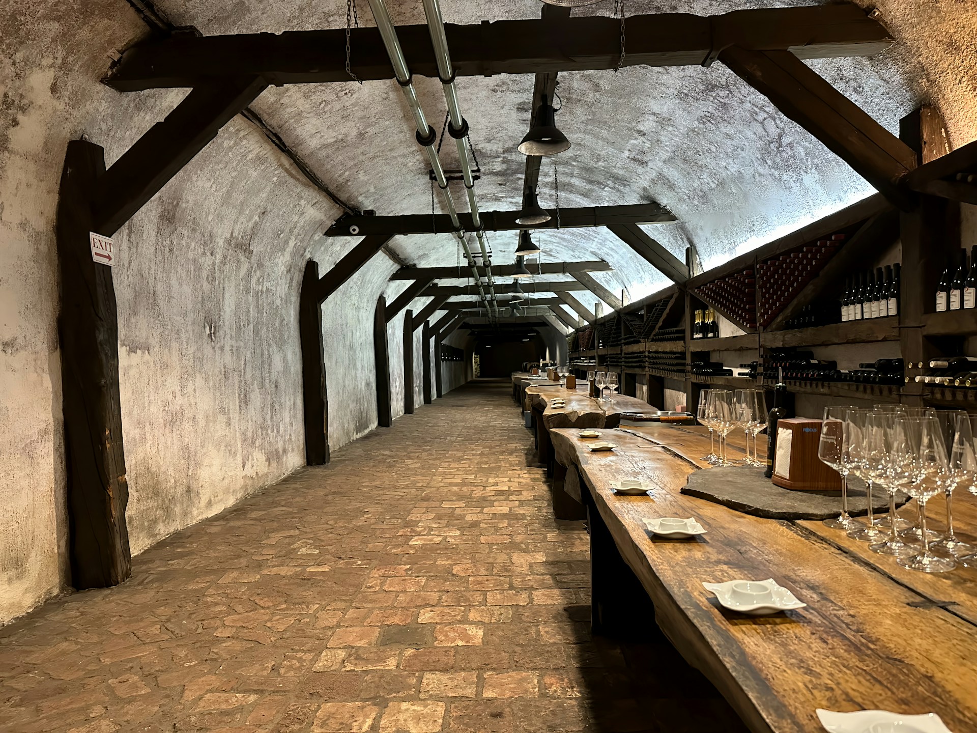 Exclusive wine tasting experience in Cape Town vineyards