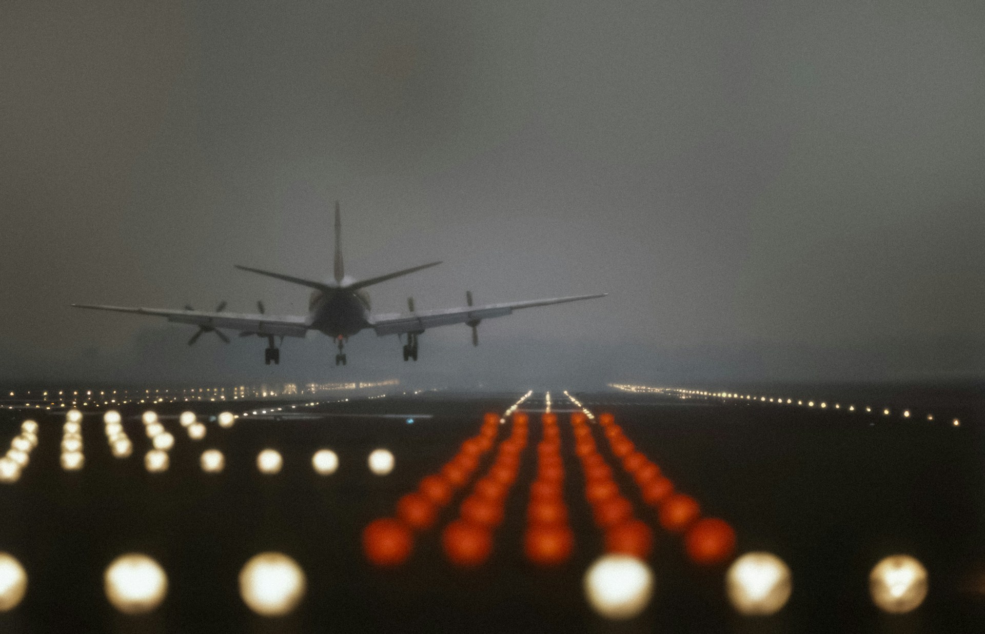 Professional meet-and-greet airport transfer assistance